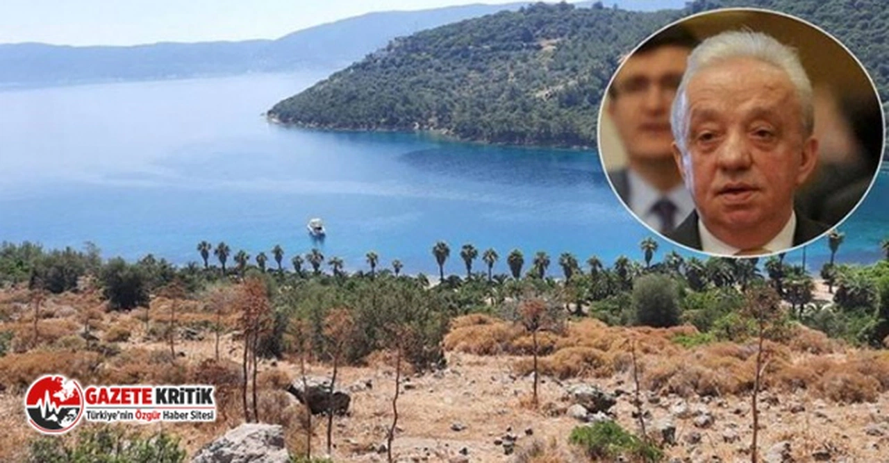 Cengiz İnşaat : Bodrum'da ağaç kesmeyeceğiz ağaç dikeceğiz