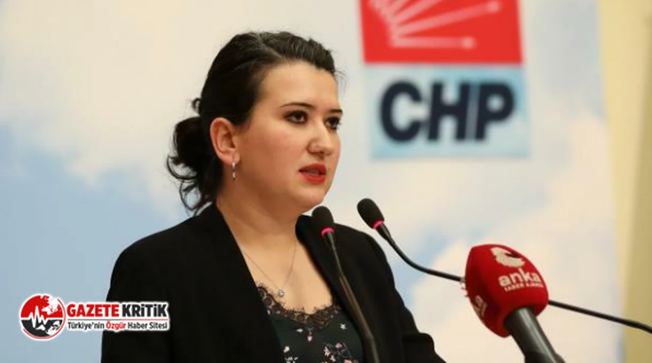 CHP GENEL BAŞKAN YARDIMCISI GÖKÇE GÖKÇEN: ÖLÜMLE TEHDİT EDİLİYORUM