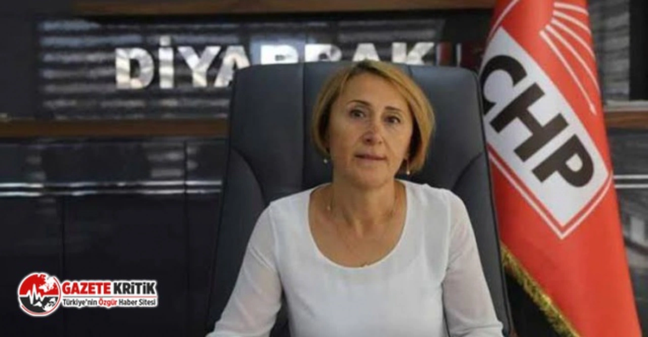 CHP Güneydoğu'da kayyumlara emanet: Diyarbakır örgütüne kayyum atandı