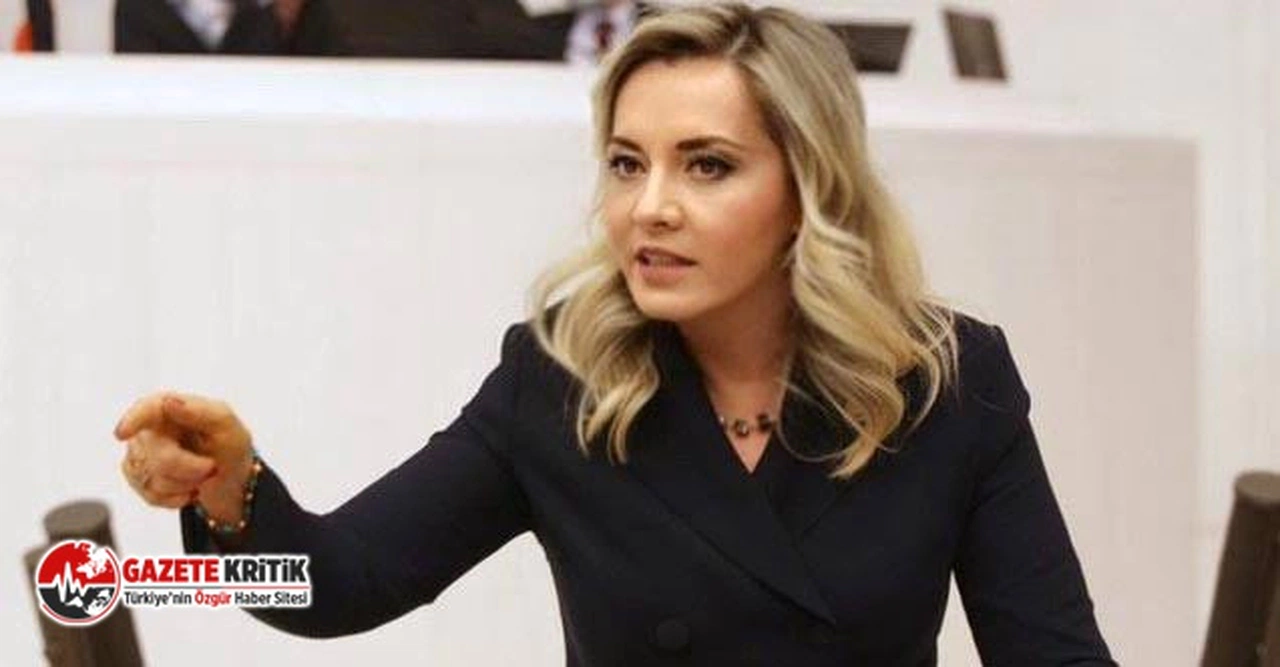 İYİ Partili Aylin Cesur: Darbe Teşebbüsü İle Millet İradesi Yok Sayılmıştır