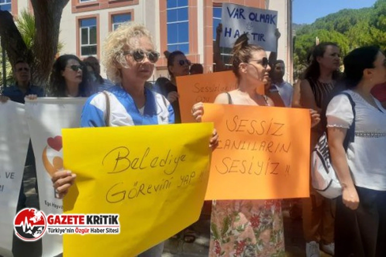 İzmirli hayvanseverler: Yüzlerce köpeğin öldürülmesine ilişkin soruşturma etkin yürütülsün