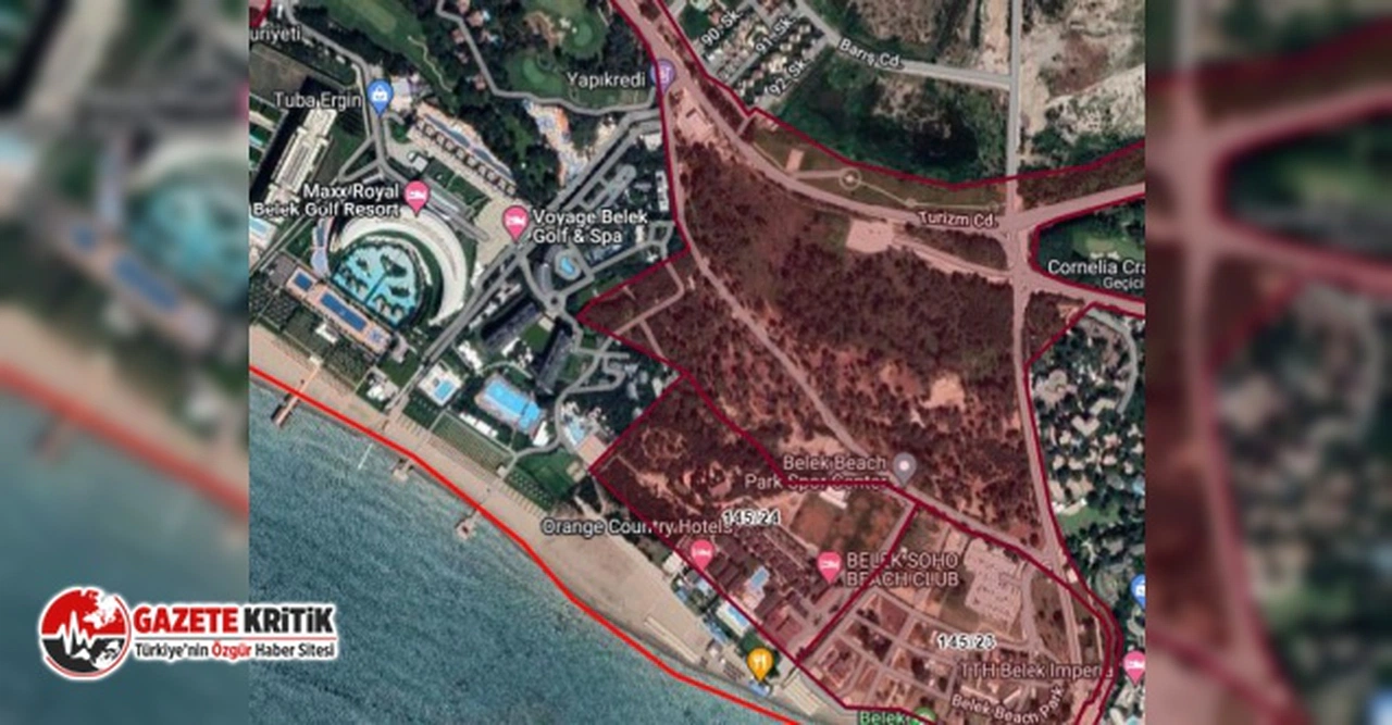 “TURİZME TAHSİS EDİLMEK İSTENEN 51 TAŞINMAZIN 28’İ ORMAN ALANI”