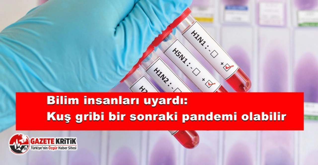 Bilim insanları uyardı: Kuş gribi bir sonraki pandemi olabilir