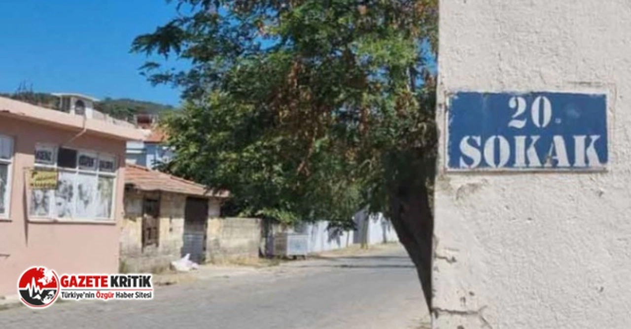 Bir sokağı pire ve keneler sardı