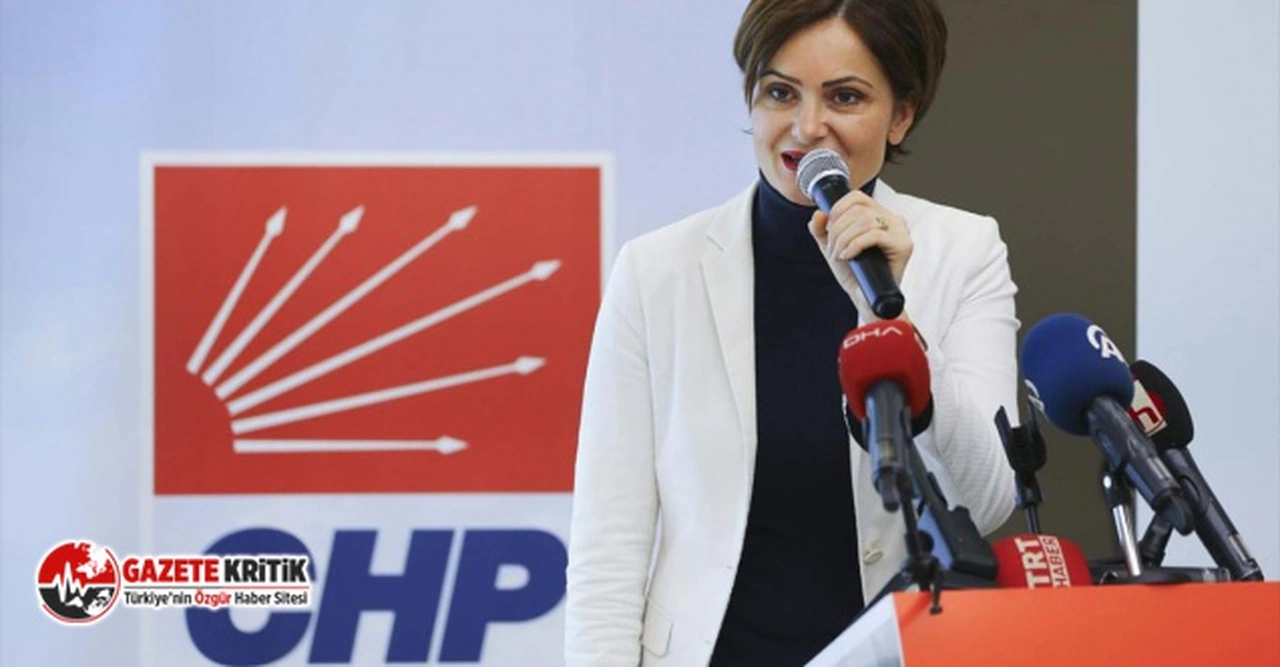 Canan Kaftancıoğlu, Cumhurbaşkanı Erdoğan'a hakaret gerekçesiyle ifade verdi