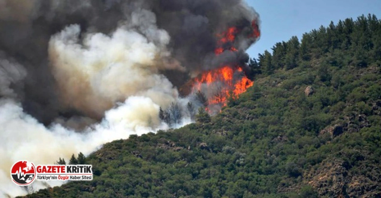 CHP'den Marmaris'teki orman yangınları için araştırma önergesi!