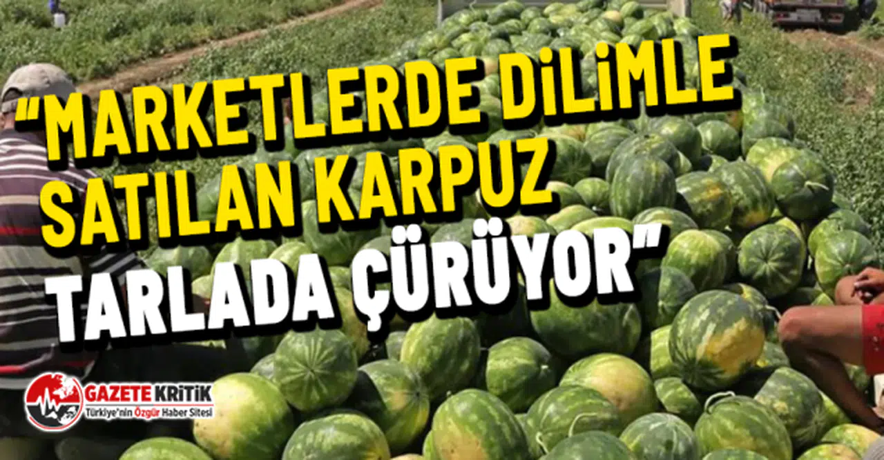 CHP'li Gürer: “Marketlerde dilimle satılan karpuz tarlada çürüyor”
