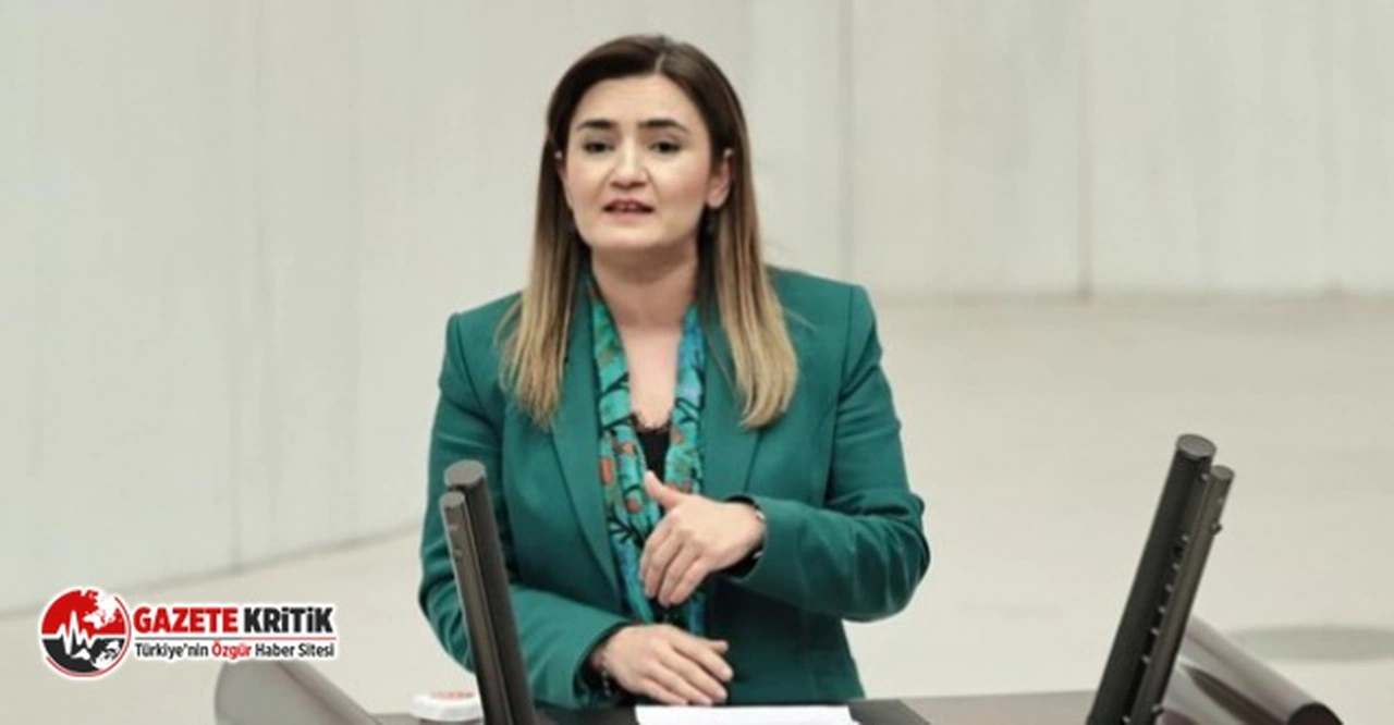 CHP'li Sevda Erdan Kılıç: “Müzik yasağı yaşam tarzına müdahaledir!”