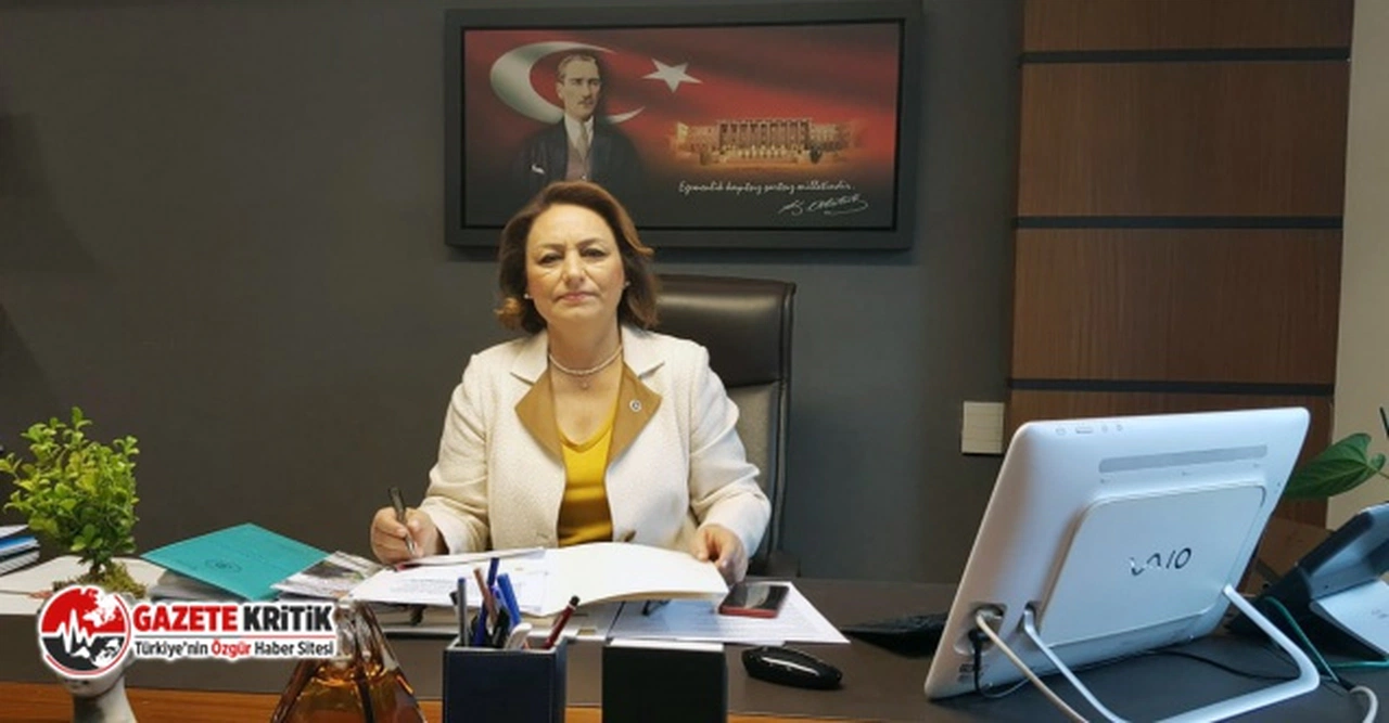 CHP'li Şevkin'den İlkay Akkaya konseri iptaline tepki:Türkiye yasaklar ülkesi olamaz