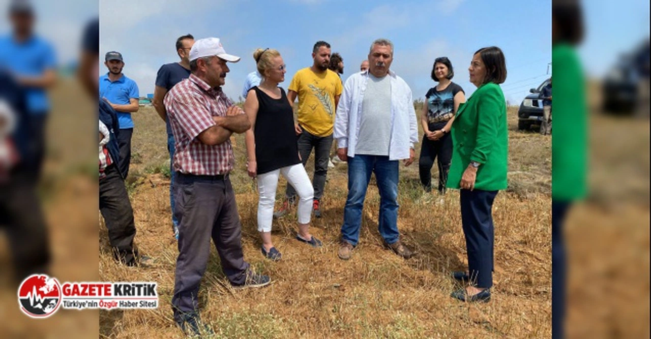 CHP'li Süllü:"Çiftçi Hasat Yapamaz Duruma Geldi"