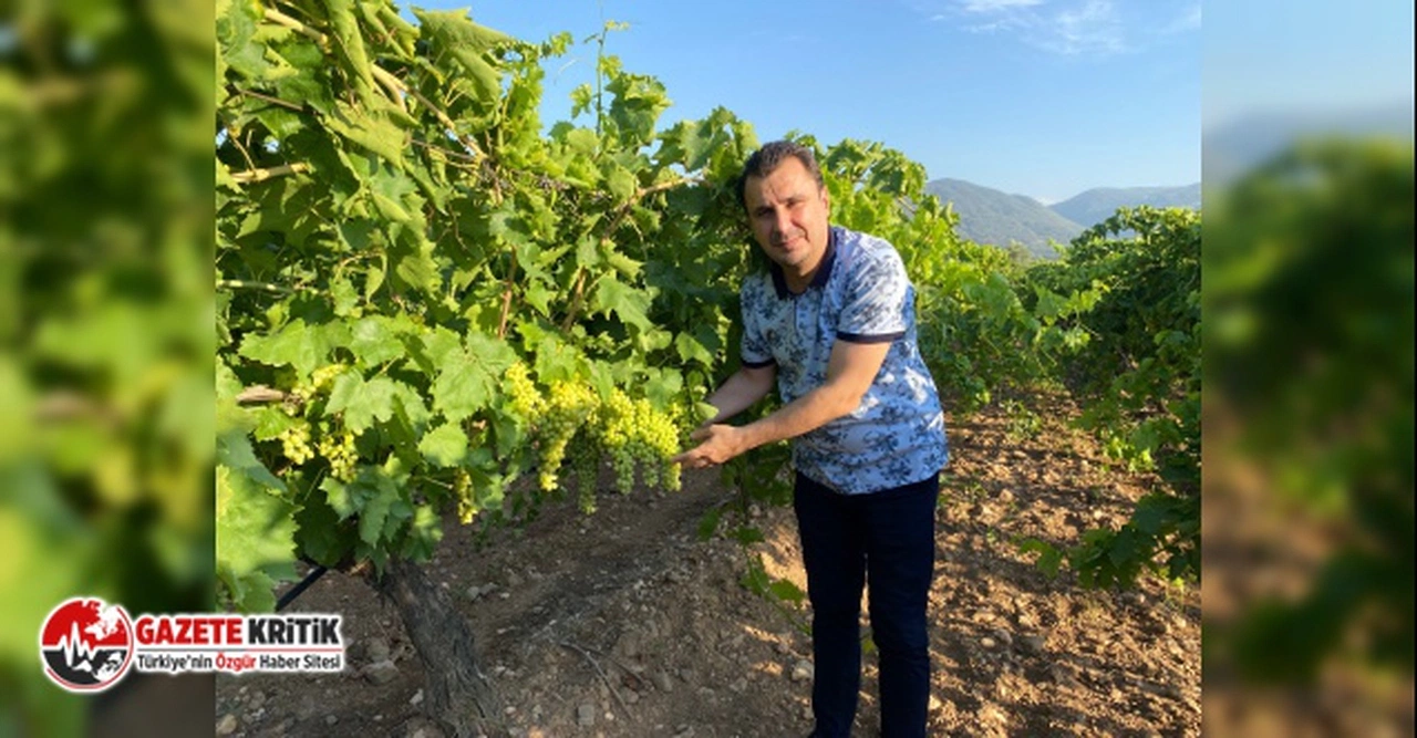 CHP’li Başevirgen, “Üzüm fiyatları geç kalınmadan ve üreticinin emeğini karşılayacak şekilde açıklanmalı”
