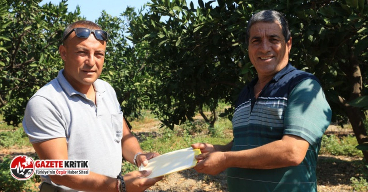 Güzelbahçe Belediyesi'nin çiftçiye desteği sürüyor