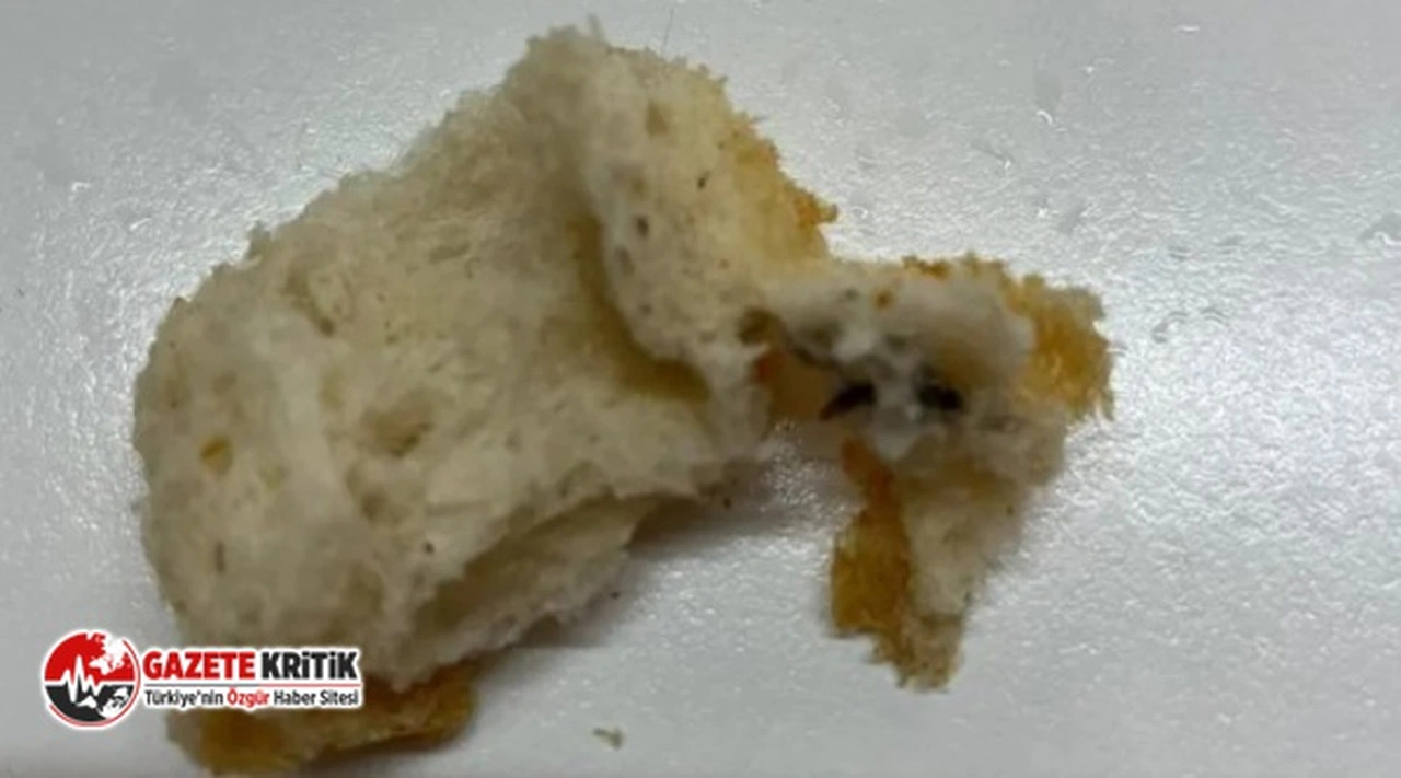 İğrenç! Halk ekmek büfesinden alınan ekmekten bakın ne çıktı