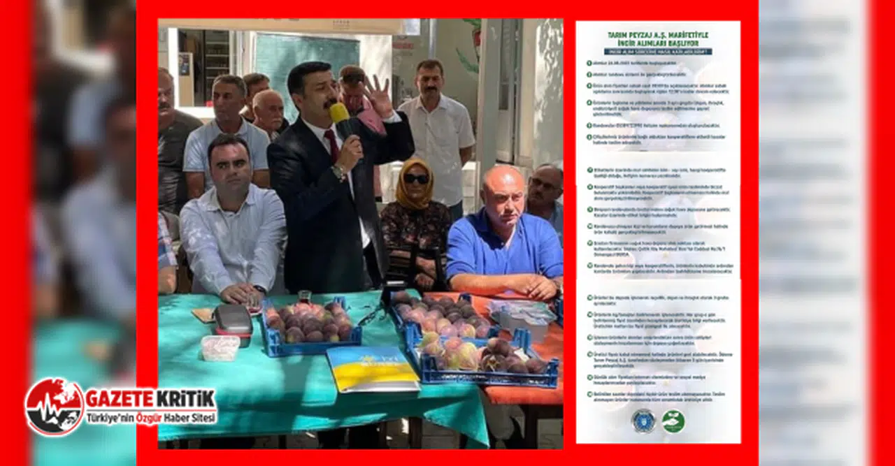 İYİ Parti’nin Bursa’daki incir eylemi de ses getirdi