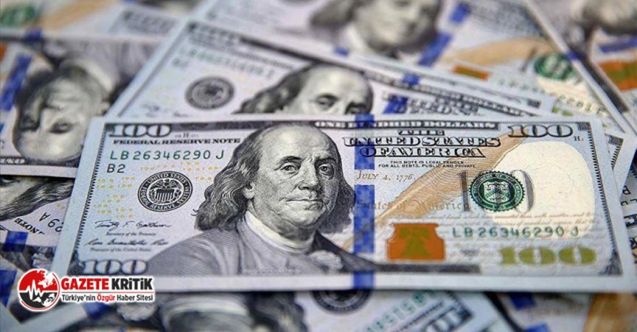 Merkez Bankası 10 ay sonra ilk kez KİT'lere döviz satışı yapmadı