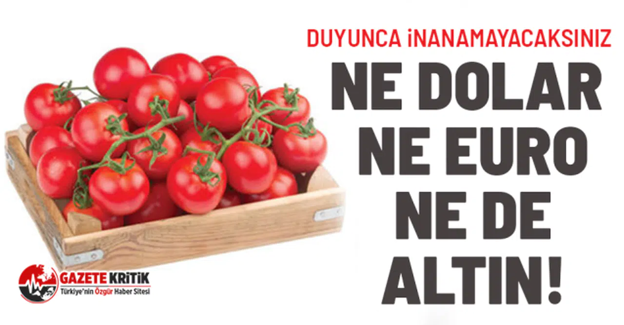 Ne dolar, ne Euro, ne de altın! Duyunca inanamayacaksınız