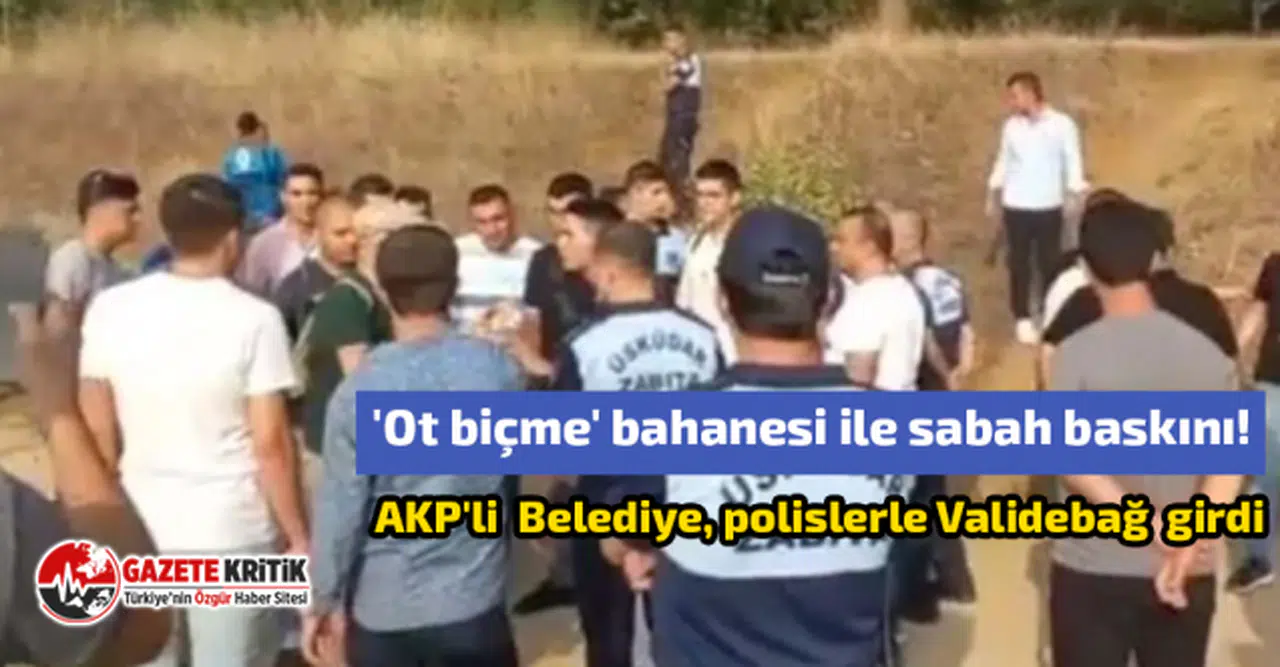 'Ot biçme' bahanesi ile sabah baskını!  AKP'li  Belediye, polislerle Validebağ  girdi
