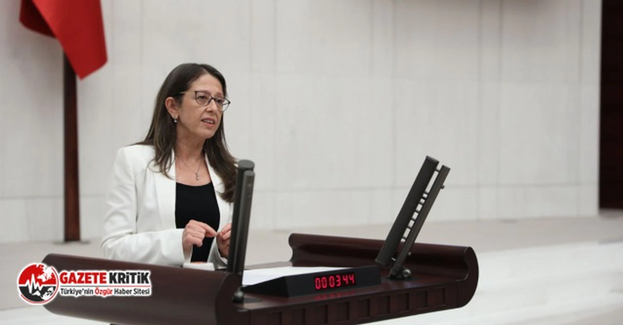 OYA ERSOY:" Gülşen değil, tutuklama kararı halkı kin ve düşmanlığa alenen tahrik etmektedir"