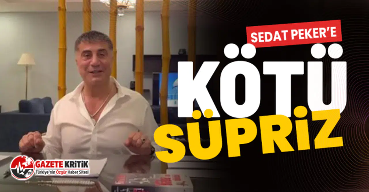 Sedat Peker'in evi Milli Parklar ve Bahçeler'e devredildi