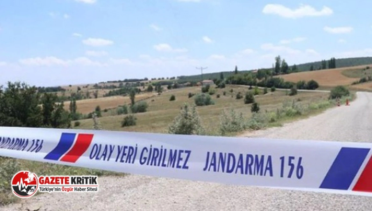 Tunceli'de 'kuduz' alarmı: Bir köy karantinaya alındı