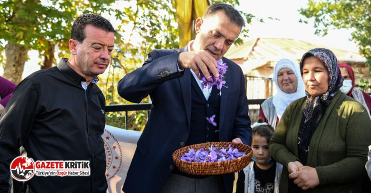 Yenişehir Belediyesi tarımsal danışmanlık hizmeti verecek