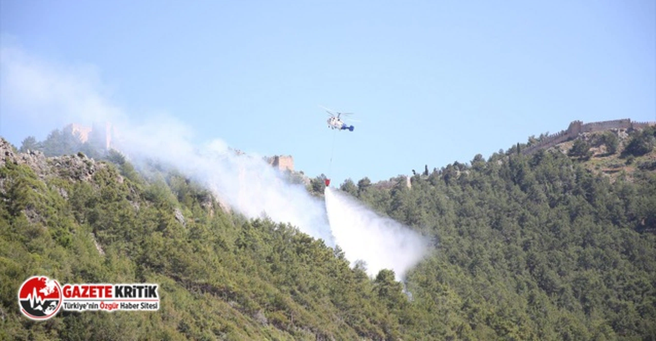 Alanya'da orman yangını çıktı