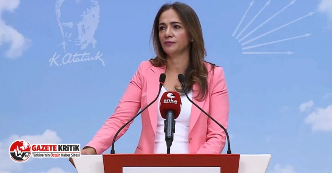 CHP'Lİ  İLGEZDİ: “CHP, ELEKTRİK DİRENİŞİ İLE TARİHE NOT DÜŞTÜ”