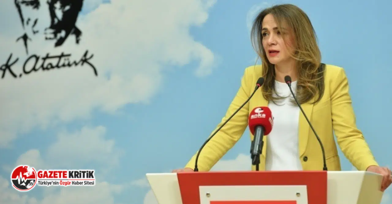 CHP'Lİ İLGEZDİ: “GENÇLERİMİZİ, İKTİDARIN KOLTUK SEVDASINA KURBAN ETTİRMEYEĞİZ