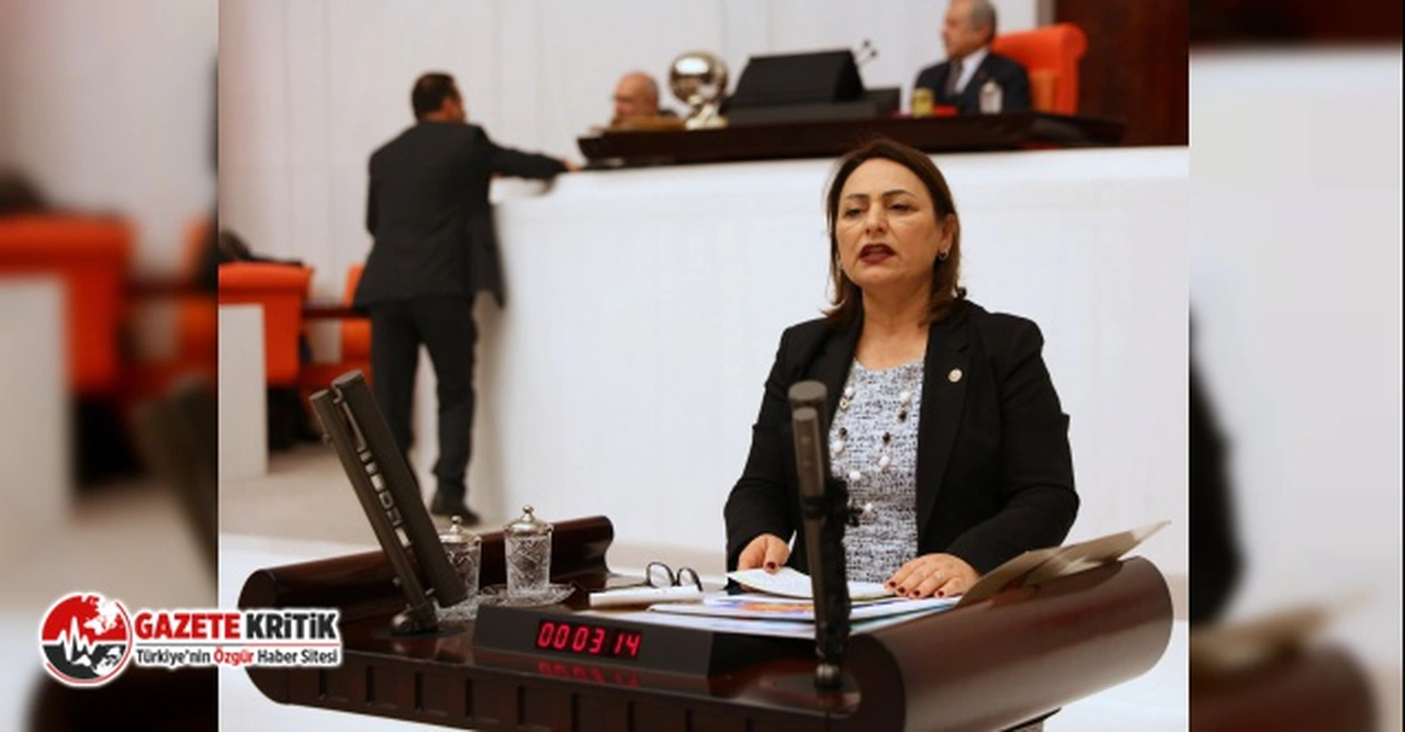 CHP'li Şevkin: “Vatandaşa tasarruf dayatıyorlar kendileri lüks içinde yaşıyor”
