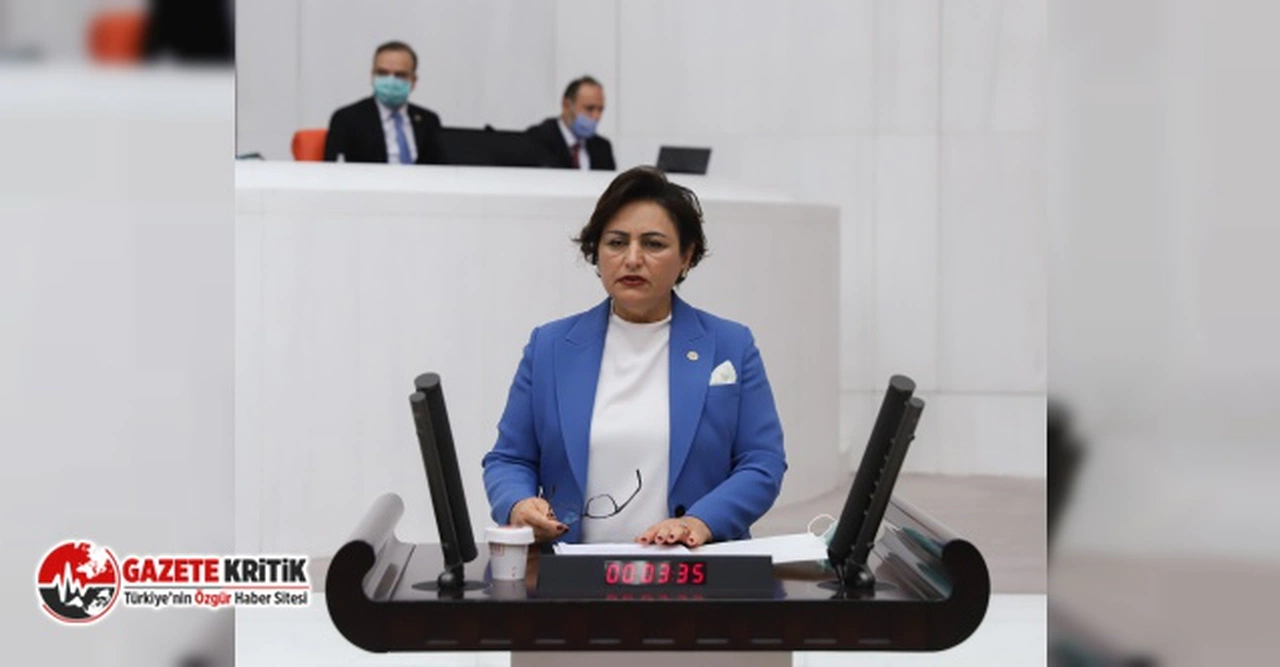CHP'li Şevkin:Almanya doğal gazda KDV düşürüyor, Türkiye, yüzde 50 zam yapıyor!