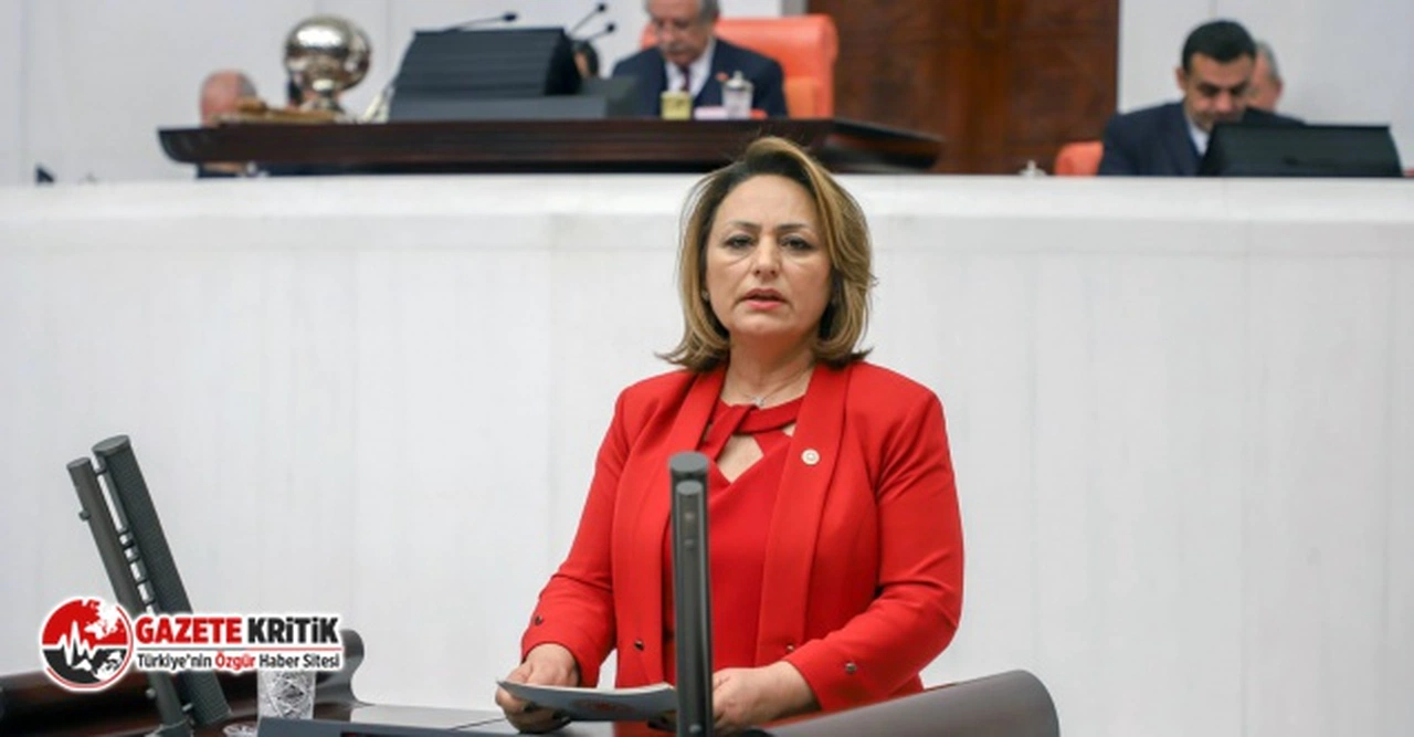 CHP'Lİ ŞEVKİN:OTİZMLİ ÇOCUKLAR NEDEN OKUL KAPISINDA BIRAKILIYOR?