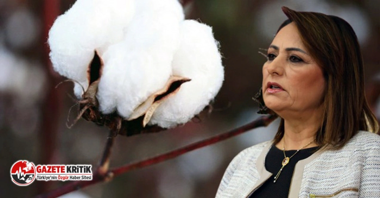 CHP'li Şevkin:Pamukta fark ödeme desteği geçen yılla aynı kaldı
