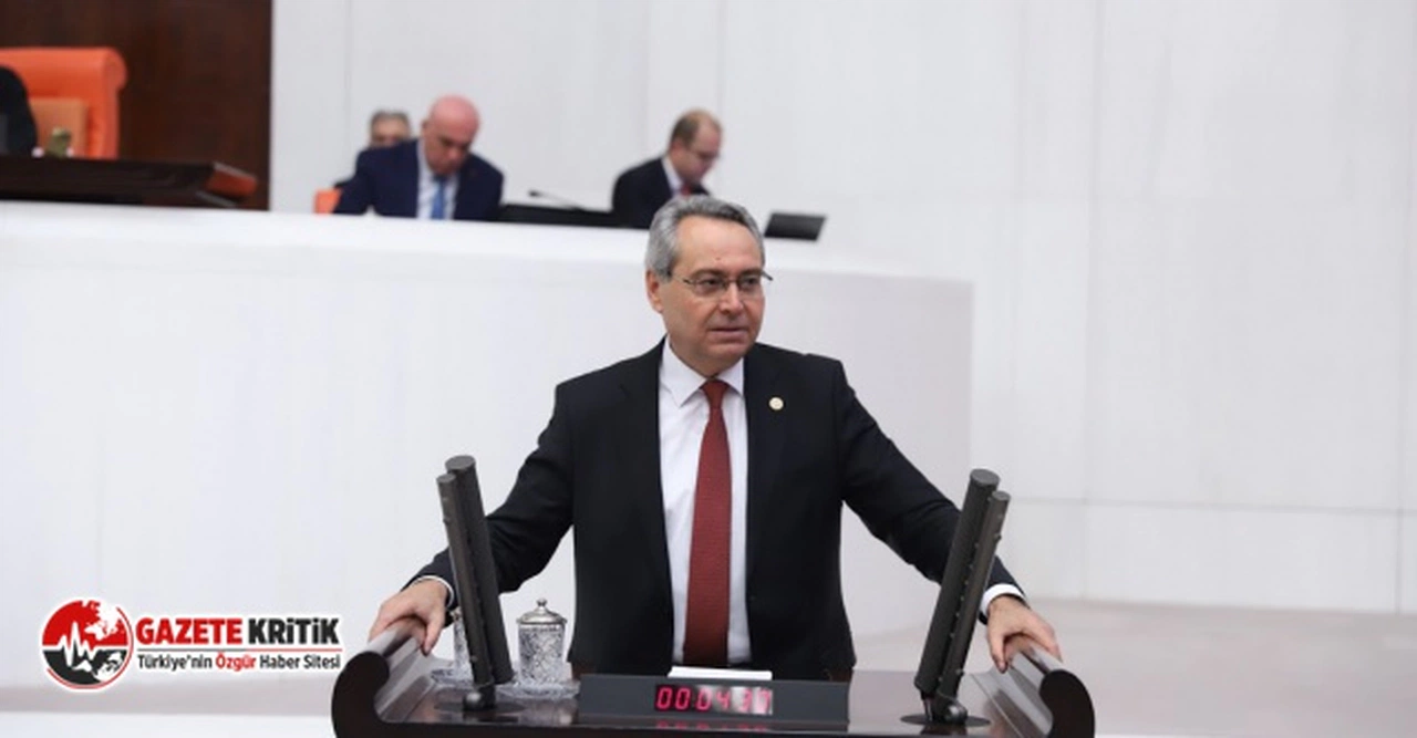 CHP'li Zeybek: "Tarımda maliyet katlanılmaz, tarladan bedava domates alsanız bile tezgahta maliyeti 5 lira"