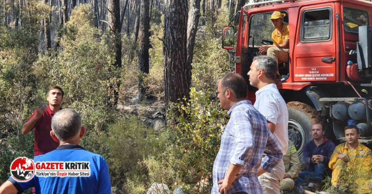 CHP’li Erbay; Orman yangınlarına karşı bilimsel çalışma yapılmalı