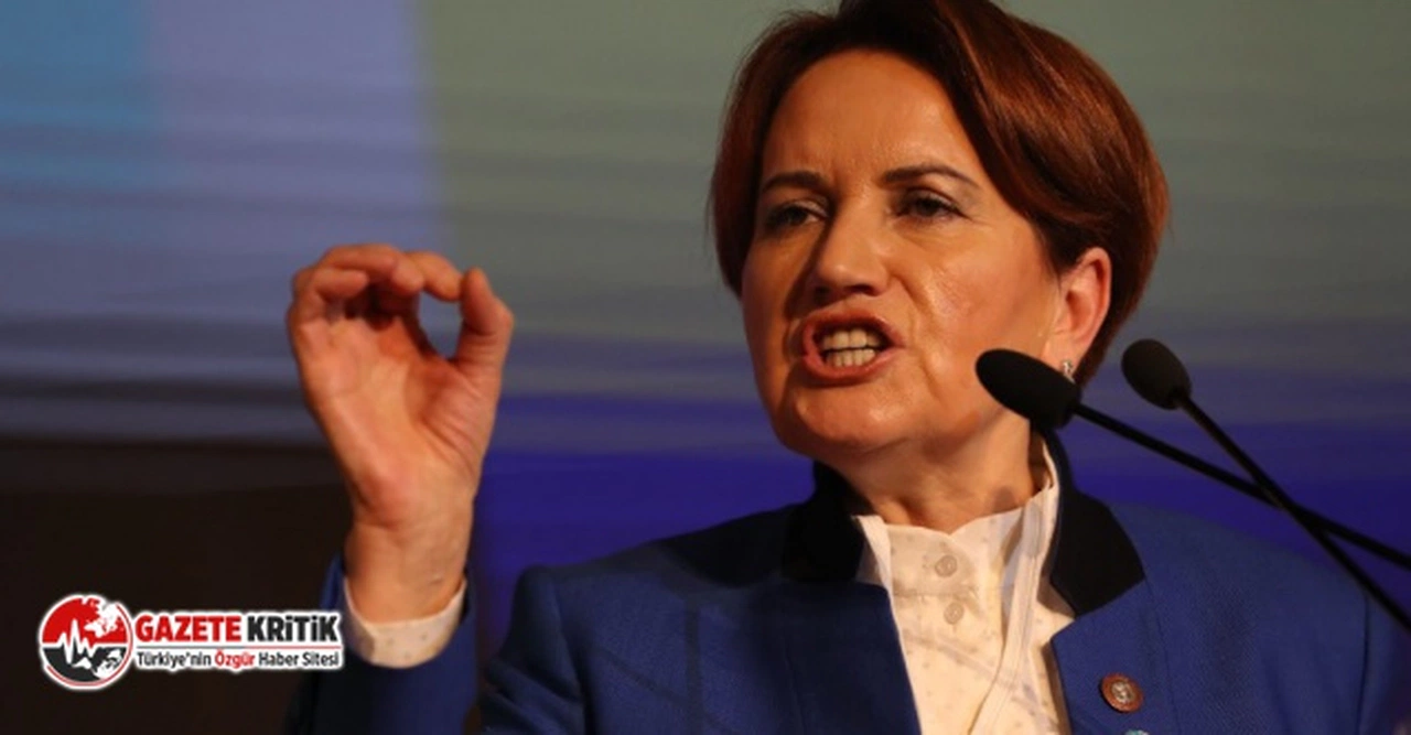 Meral Akşener Susurluk zanlısı Sedat Bucak ile görüşmesi İYİ Parti'de istifa getirdi!