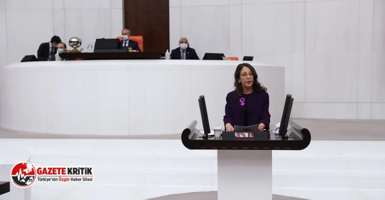 Oya Ersoy: "Münür Rahvancıoğlu'nun Türkiye'ye girişi muhalif olduğu için mi engellendi?"