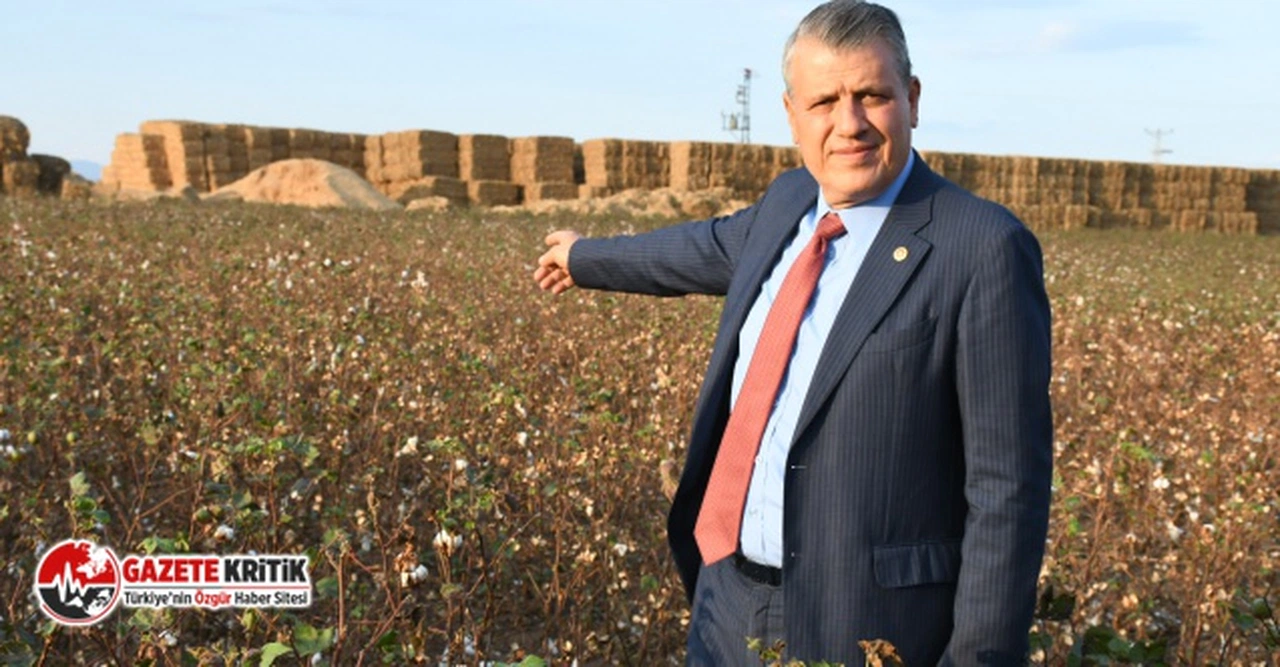 CHP'li Barut'tan, pamukta sadaka niyetine prim tepkisi