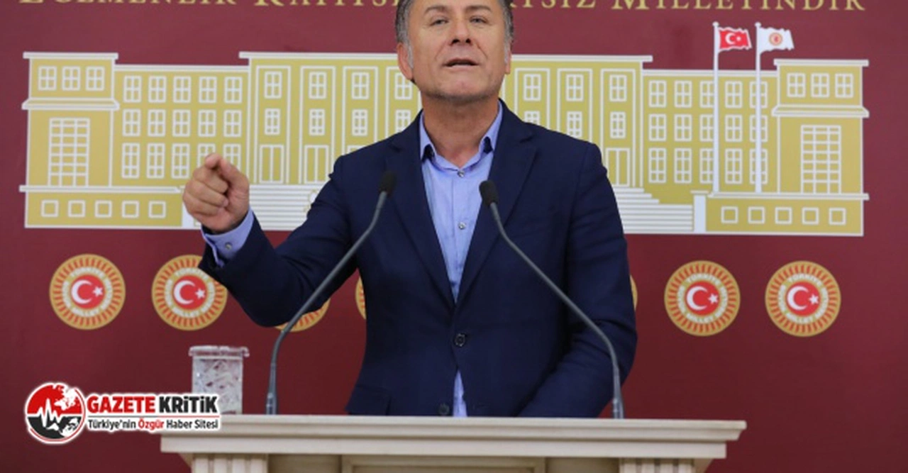 CHP'li Sarıbal:AB zeytine 6 lira, biz 15 kuruş destek veriyoruz
