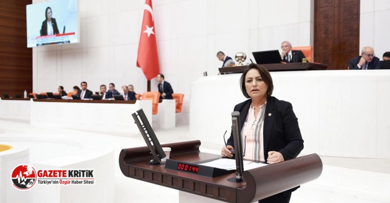 CHP'li Şevkin:İktidarın raf ömrü çoktan tükendi