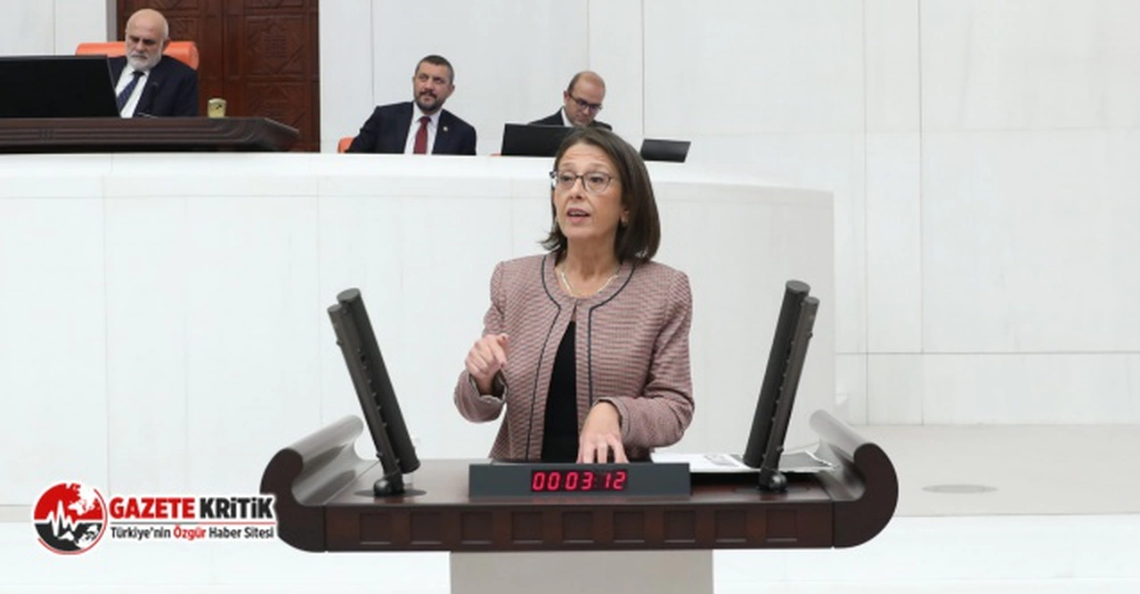 OYA ERSOY: Sayıştay raporları dikkate alınmalıdır!