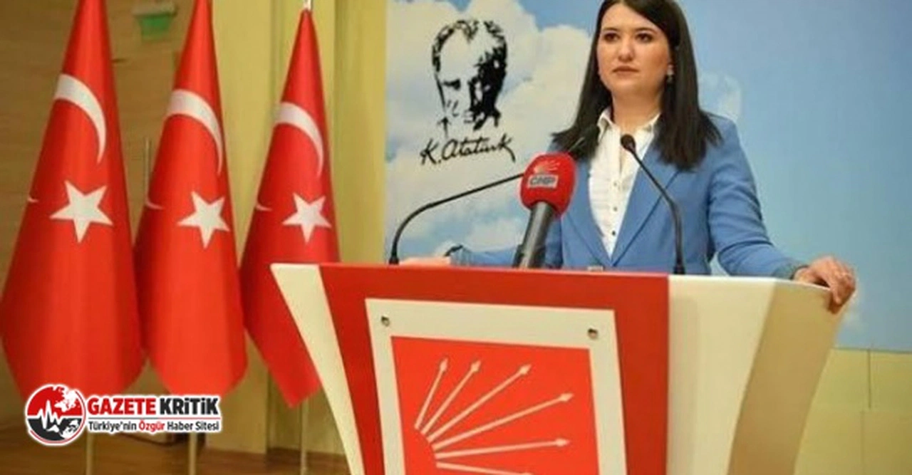 CHP GENEL BAŞKAN YARDIMCISI GÖKÇE GÖKÇEN: “İSTANBUL SÖZLEŞMESİ’Nİ GERİ GETİRECEĞİZ.”