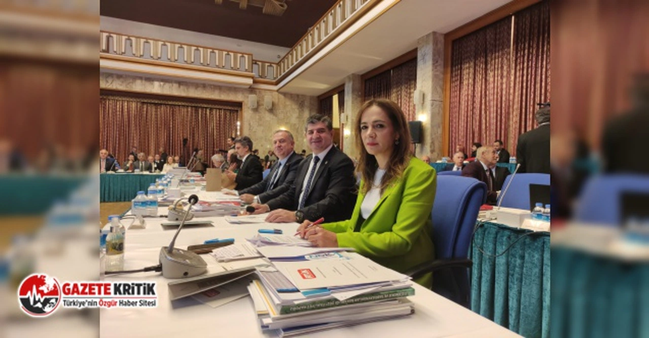 CHP'Lİ İLGEZDİ: “KÜLTÜR BAKANLIĞI BÜTÇESİ, GENEL BÜTÇENİN SADECE BİNDE 3’Ü…