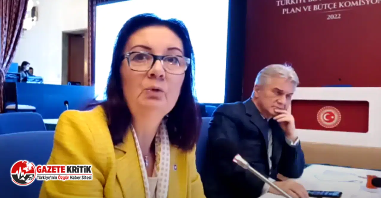 CHP'li Lale Karabıyık:Faize ayrılan bütçe, 15 milyon öğrenciye ayrılan bütçeden daha fazla!