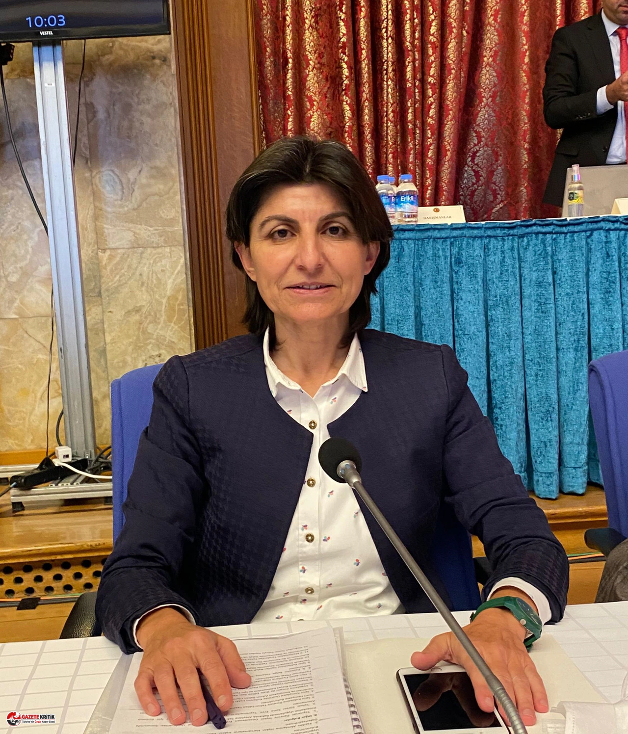CHP'Lİ ÖZDEMİR:NE EĞİTİMDE NE İSTİHDAMDA OLMAYAN 3 MİLYON GENCİMİZ VAR