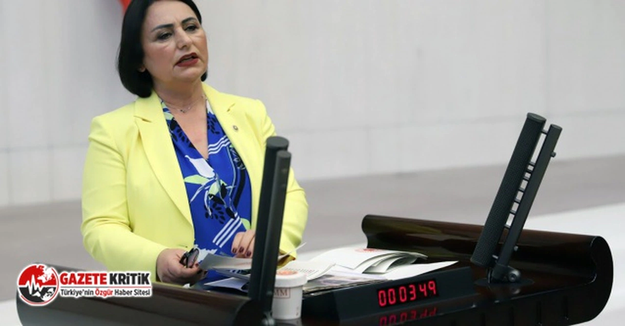 CHP'li Şevkin:500 bin insanın tek hastanesi de kapandı