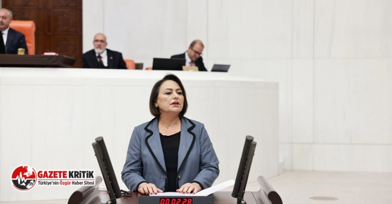 CHP'li Şevkin, köylülerin 72 yıllık hak mücadelesi Meclis'e taşındı