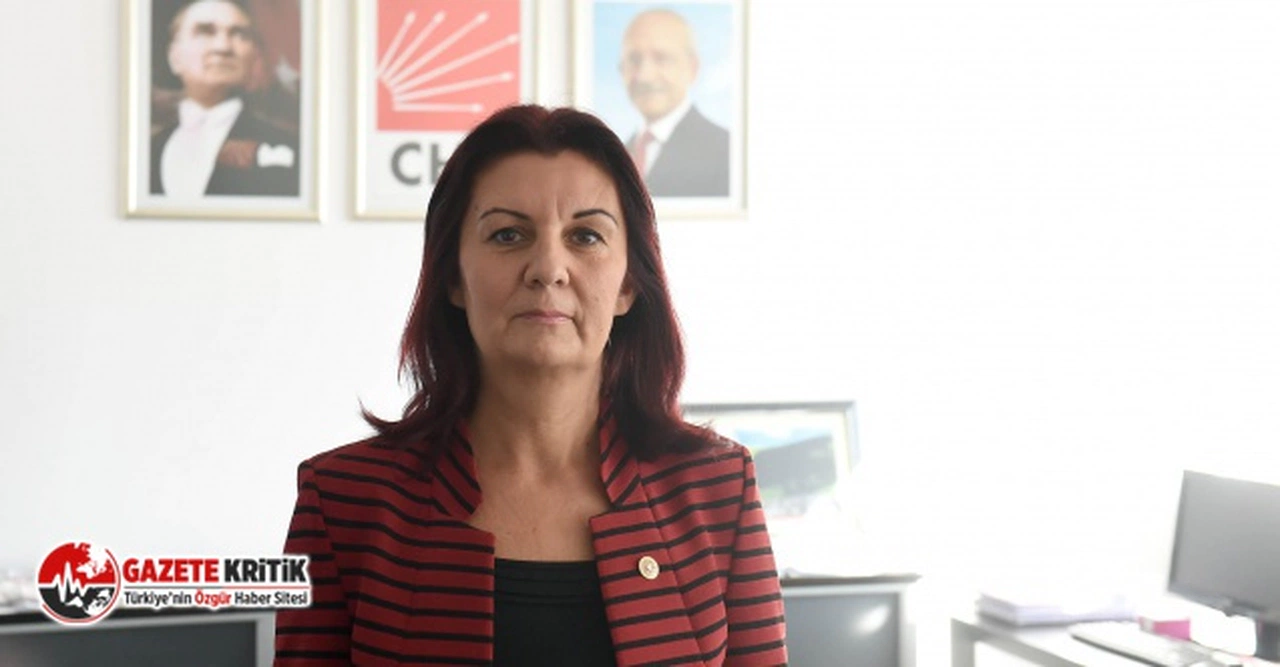 CHP’den Bakan Kasapoğlu’na psikolojik danışma ve rehberlik hizmetleri soruları… 