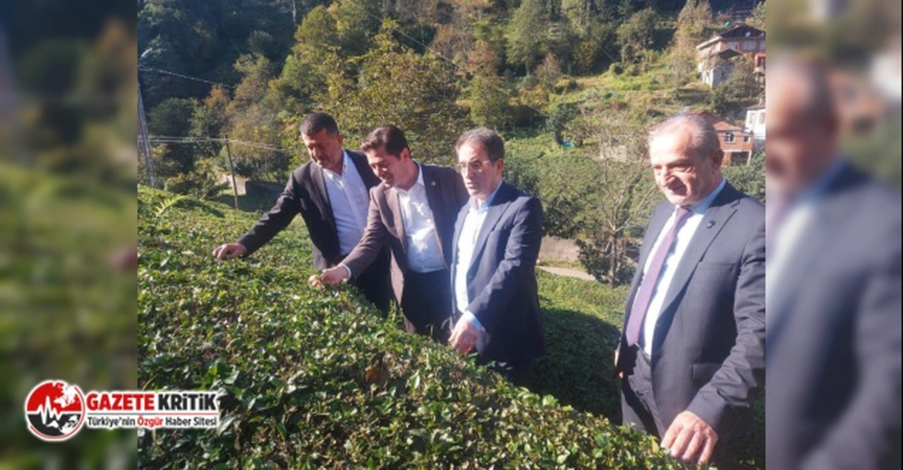 CHP’Lİ AHMET KAYA’DAN CUMHURBAŞKANINA ÇAĞRI: “ÇAYKUR MEVSİMLİK İŞÇİLERİMİZE KADRO VERİLMELİ”
