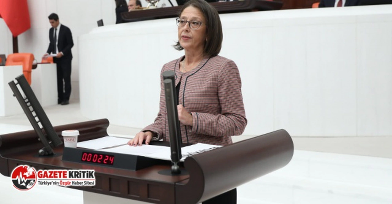 OYA ERSOY: Okula gitmeyen çocuklar nerede?