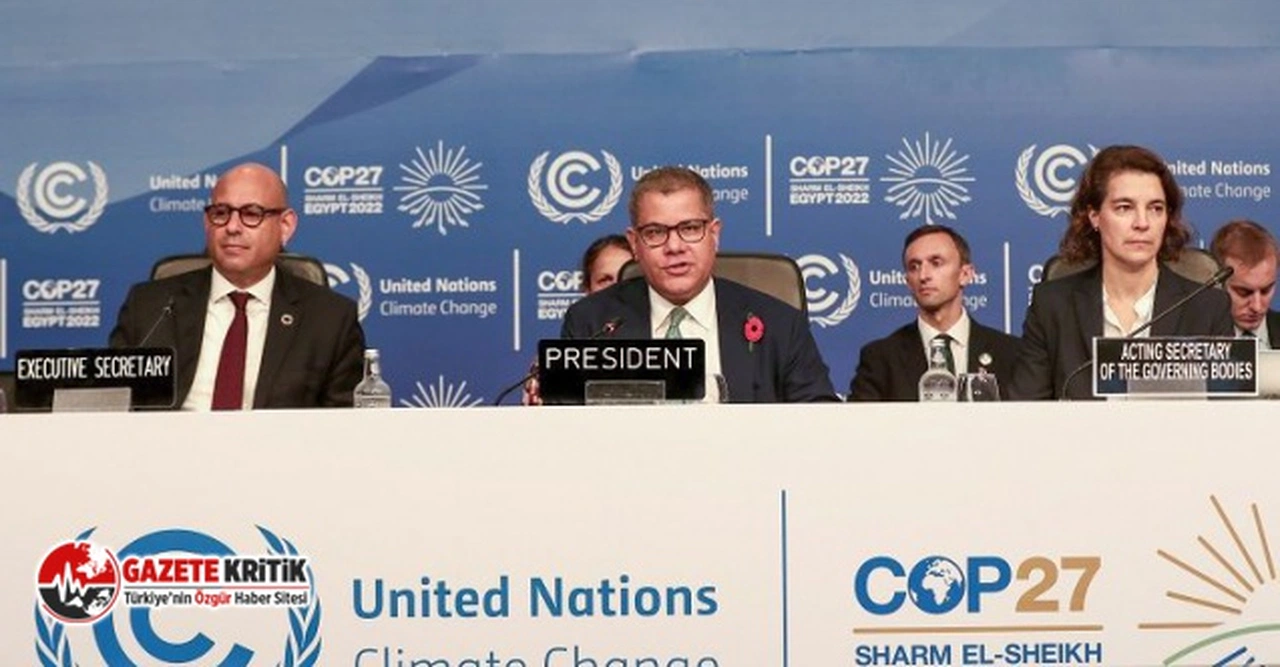 Prof. Ali Saysel: Demokrasiler tehdit altındayken iklim kriziyle mücadele etmek çok zor